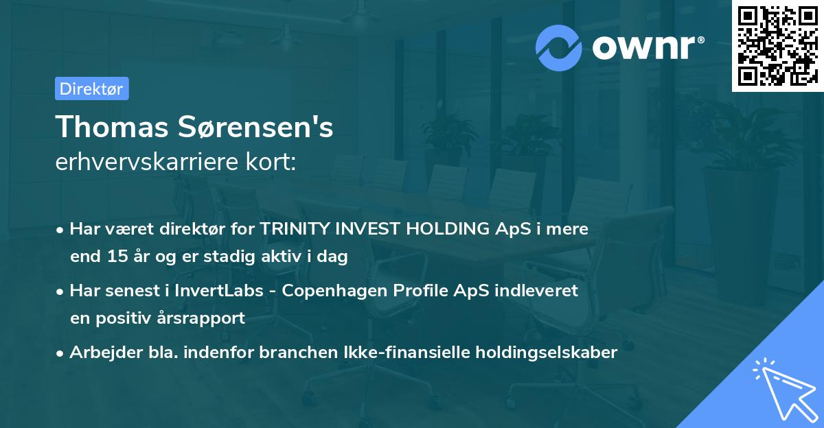Thomas Sørensen's erhvervskarriere kort