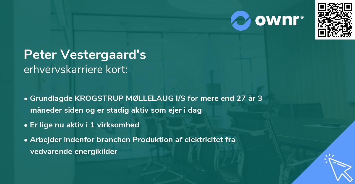 Peter Vestergaard's erhvervskarriere kort