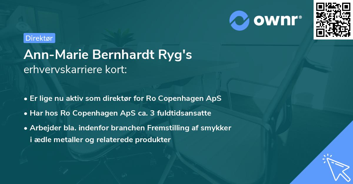 Ann-Marie Bernhardt Ryg's erhvervskarriere kort