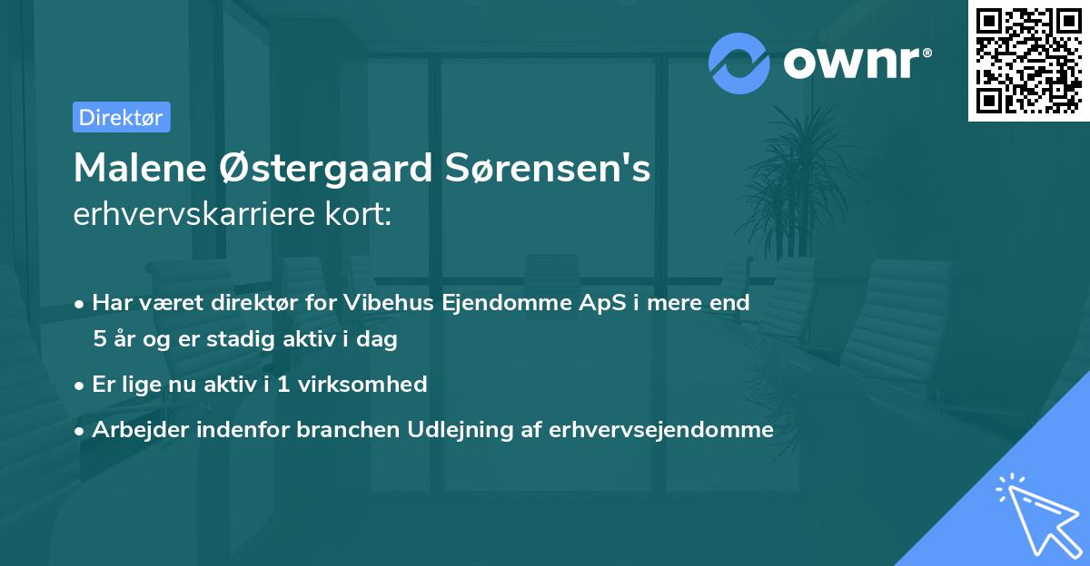 Malene Østergaard Sørensen's erhvervskarriere kort
