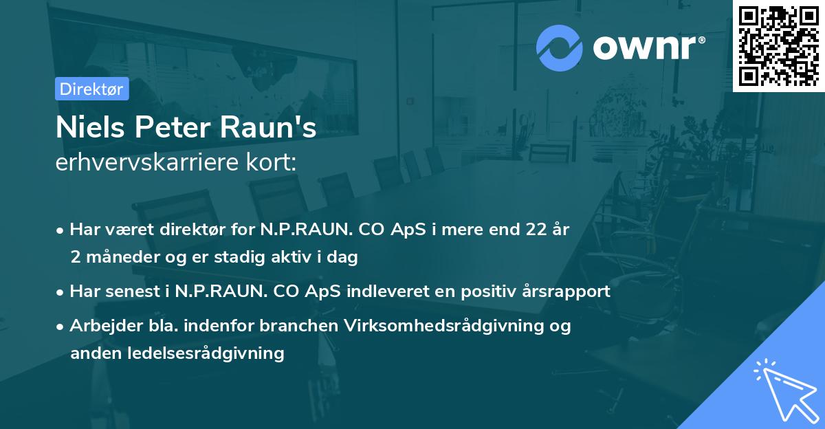 Niels Peter Raun's erhvervskarriere kort