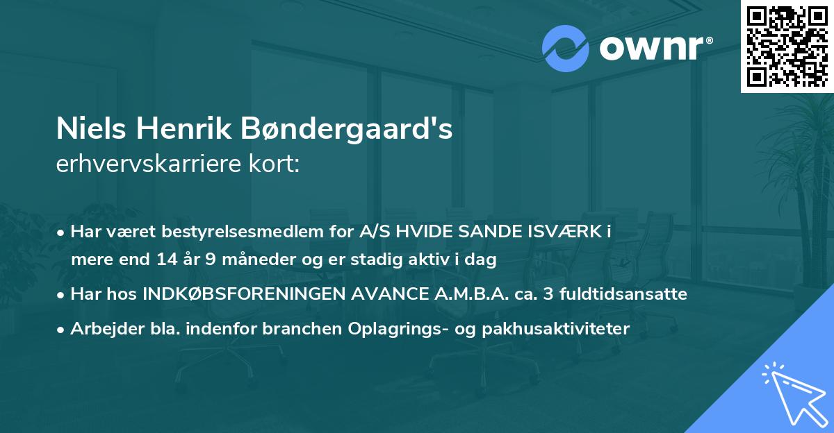 Niels Henrik Bøndergaard's erhvervskarriere kort