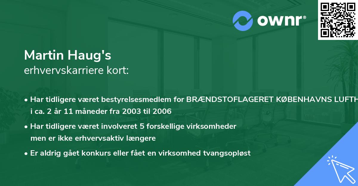 Martin Haug's erhvervskarriere kort