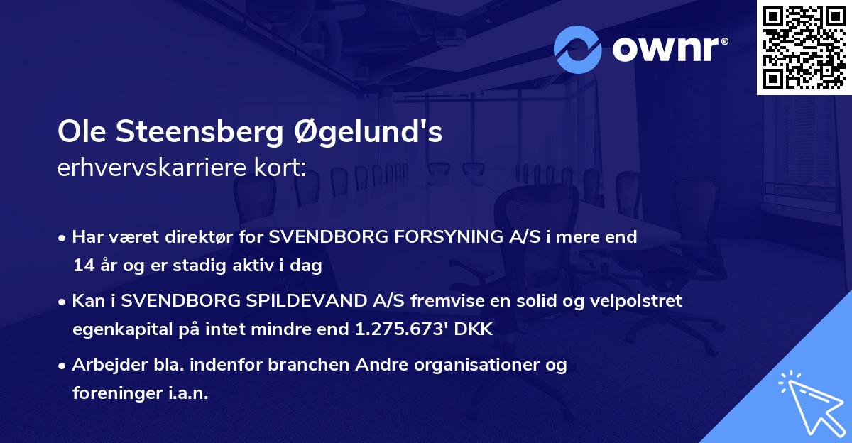 Ole Steensberg Øgelund's erhvervskarriere kort