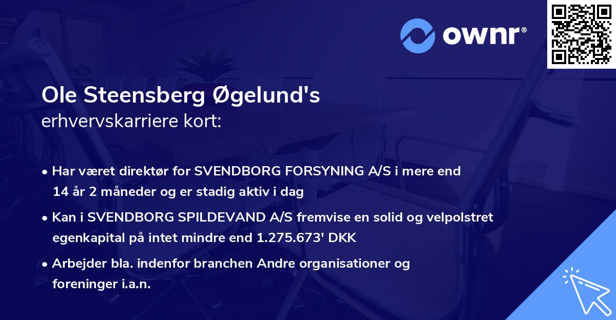 Ole Steensberg Øgelund's erhvervskarriere kort