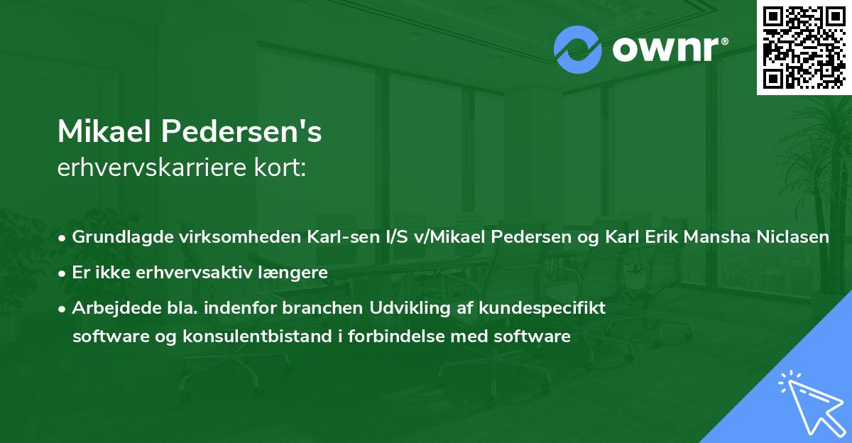 Mikael Pedersen's erhvervskarriere kort