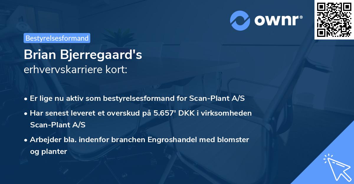 Brian Bjerregaard's erhvervskarriere kort