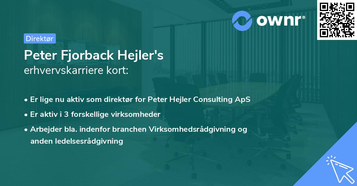 Peter Fjorback Hejler's erhvervskarriere kort