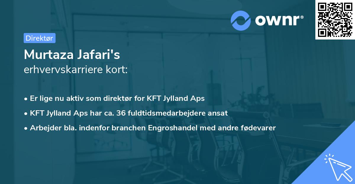 Murtaza Jafari's erhvervskarriere kort