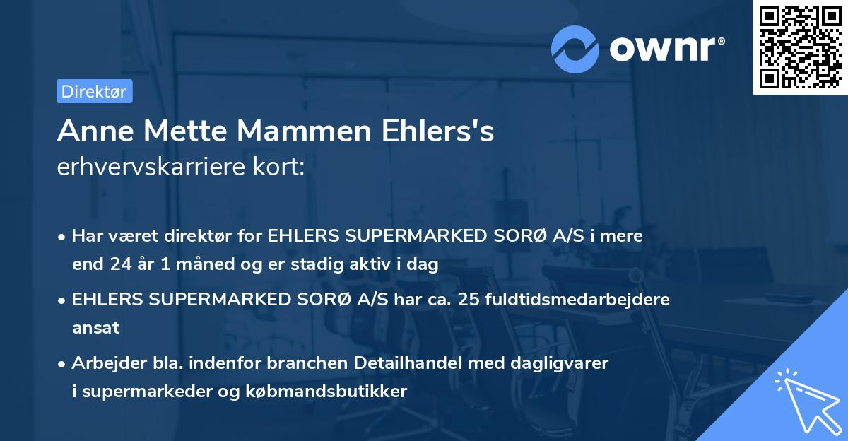 Anne Mette Mammen Ehlers's erhvervskarriere kort