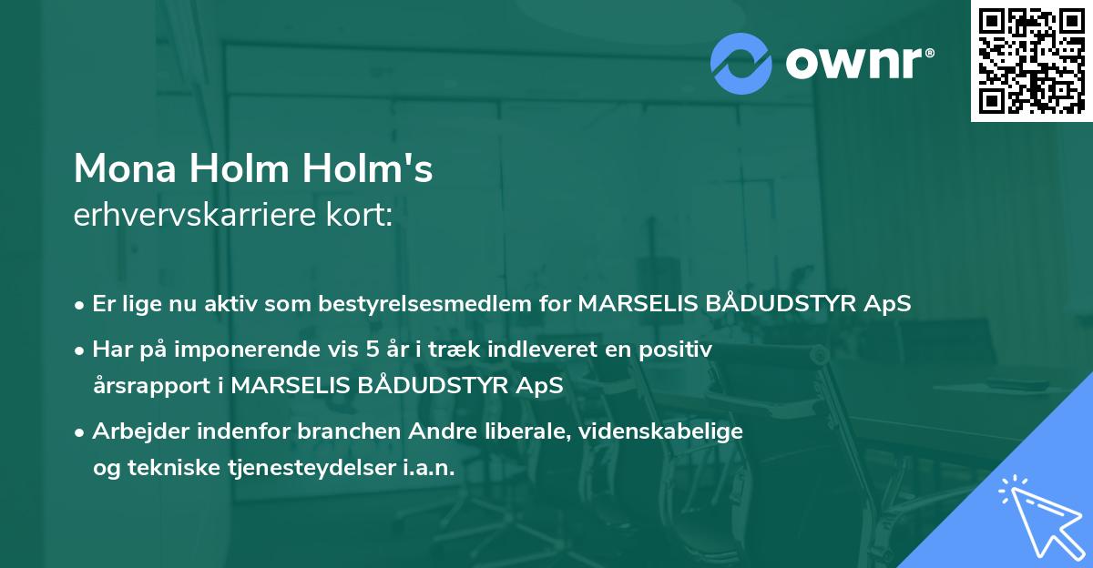 Mona Holm Holm's erhvervskarriere kort