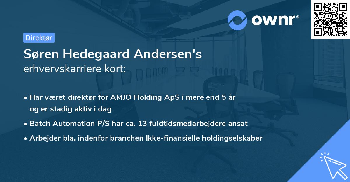 Søren Hedegaard Andersen's erhvervskarriere kort