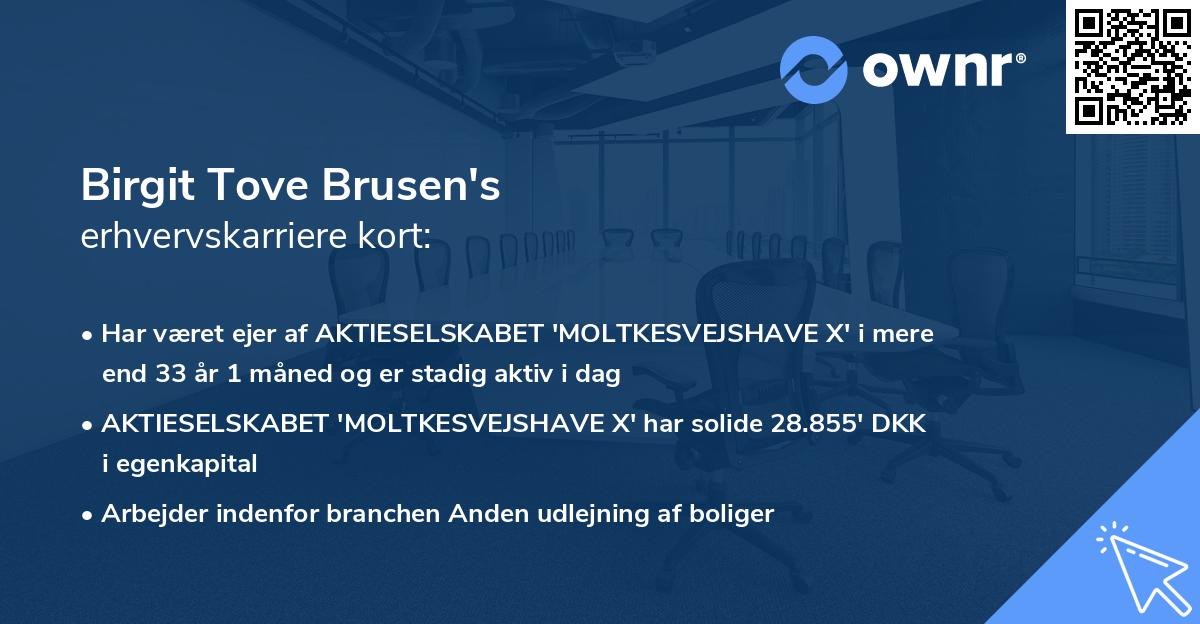 Birgit Tove Brusen's erhvervskarriere kort