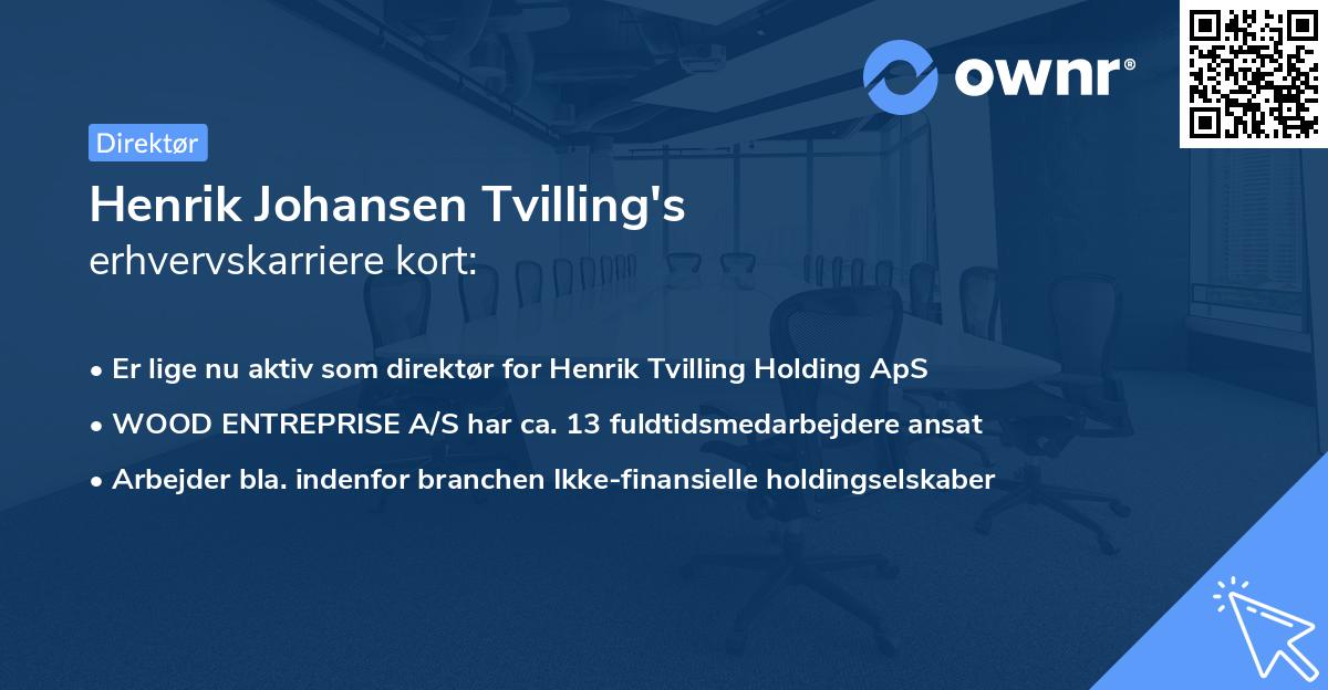 Henrik Johansen Tvilling's erhvervskarriere kort