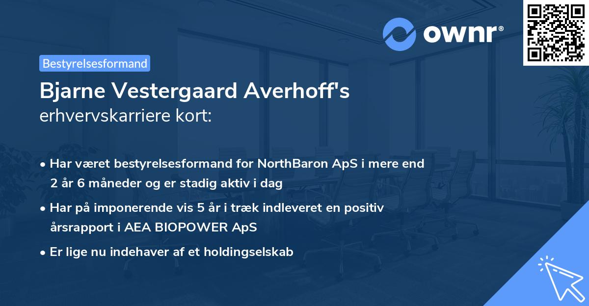 Bjarne Vestergaard Averhoff's erhvervskarriere kort