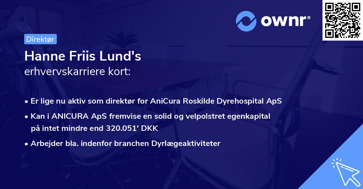 Hanne Friis Lund's erhvervskarriere kort