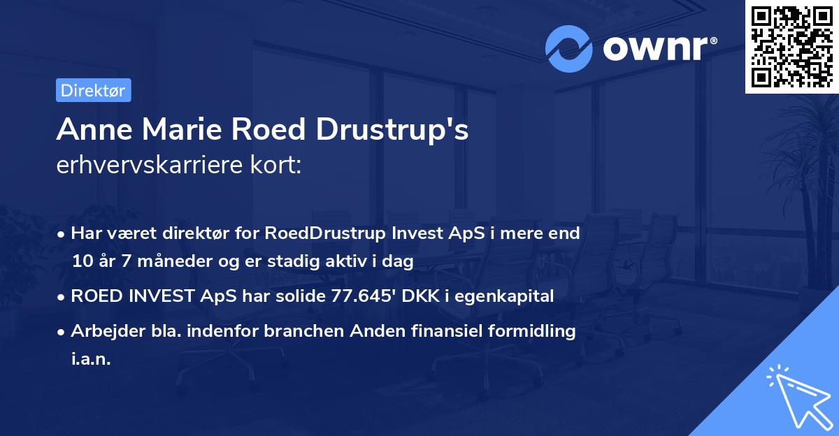 Anne Marie Roed Drustrup's erhvervskarriere kort