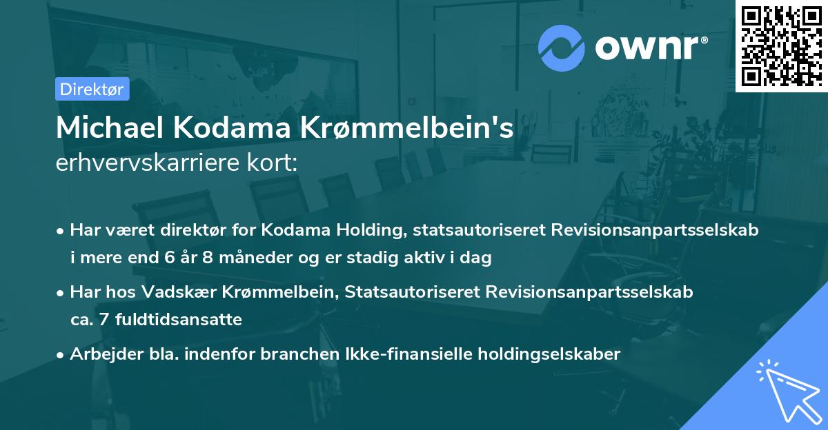 Michael Kodama Krømmelbein's erhvervskarriere kort