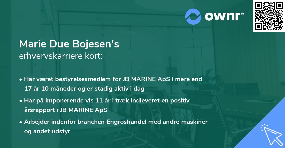 Marie Due Bojesen's erhvervskarriere kort