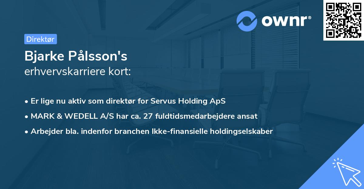 Bjarke Pålsson's erhvervskarriere kort