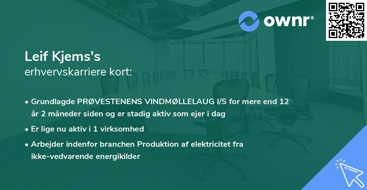 Leif Kjems's erhvervskarriere kort