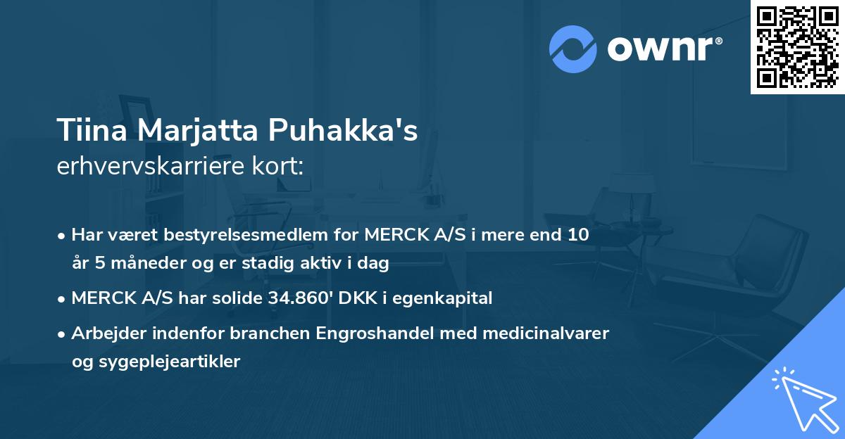 Tiina Marjatta Puhakka's erhvervskarriere kort