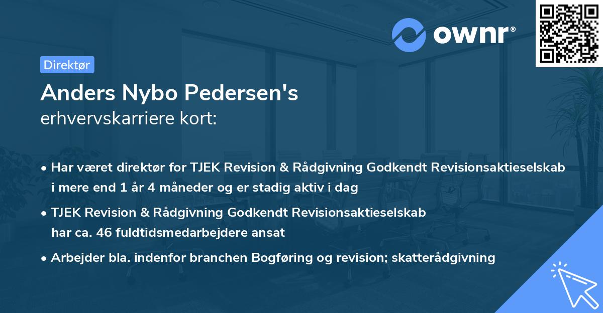 Anders Nybo Pedersen's erhvervskarriere kort