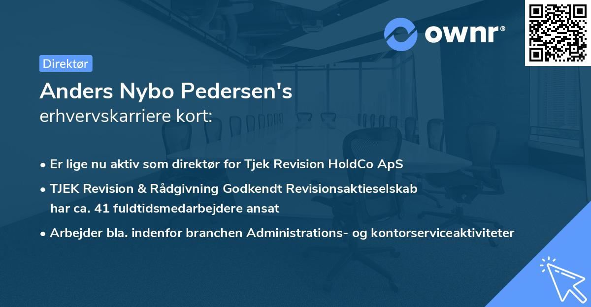 Anders Nybo Pedersen's erhvervskarriere kort