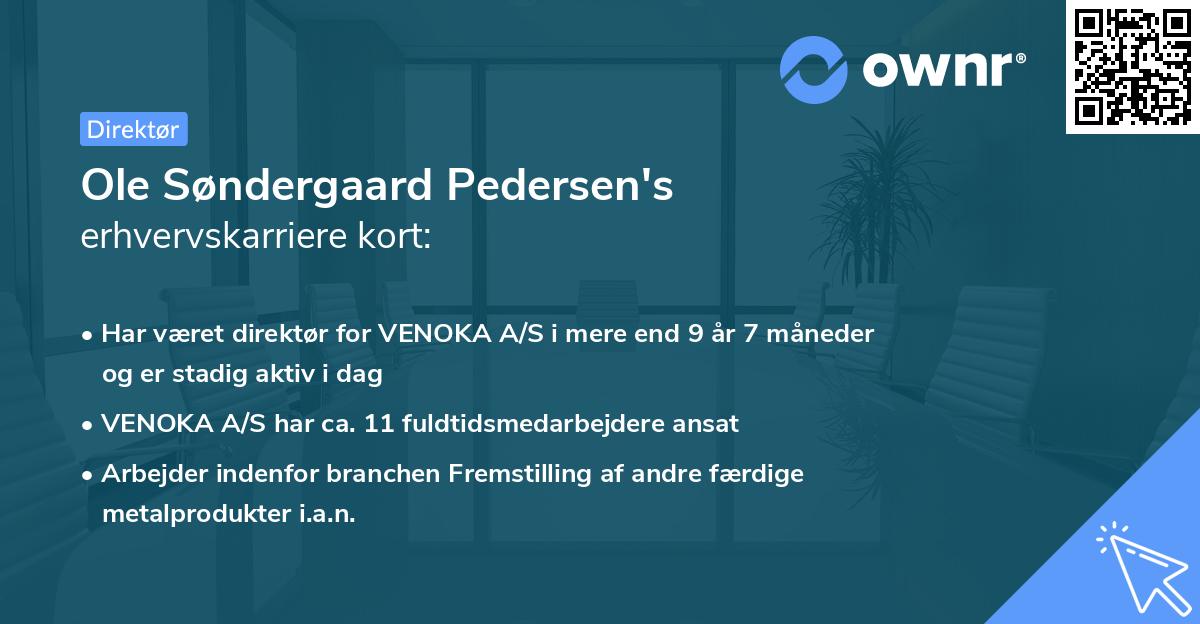 Ole Søndergaard Pedersen's erhvervskarriere kort