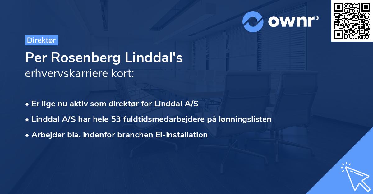 Per Rosenberg Linddal's erhvervskarriere kort