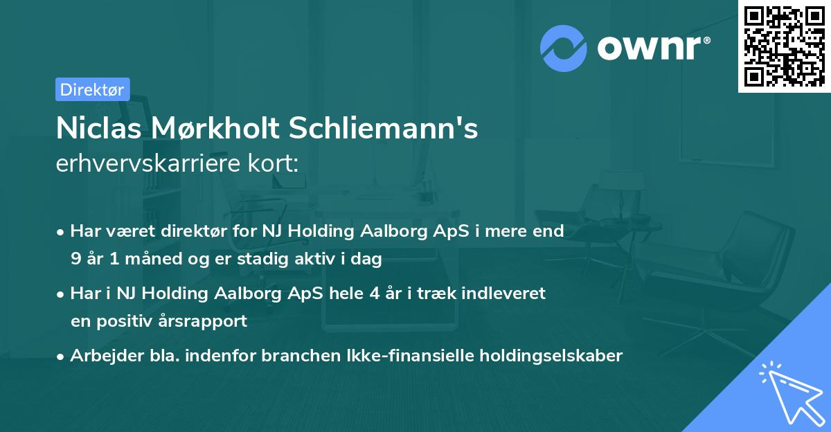 Niclas Mørkholt Schliemann's erhvervskarriere kort