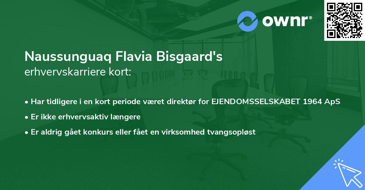Naussunguaq Flavia Bisgaard's erhvervskarriere kort