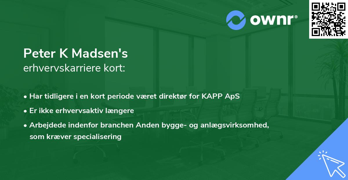 Peter K Madsen's erhvervskarriere kort