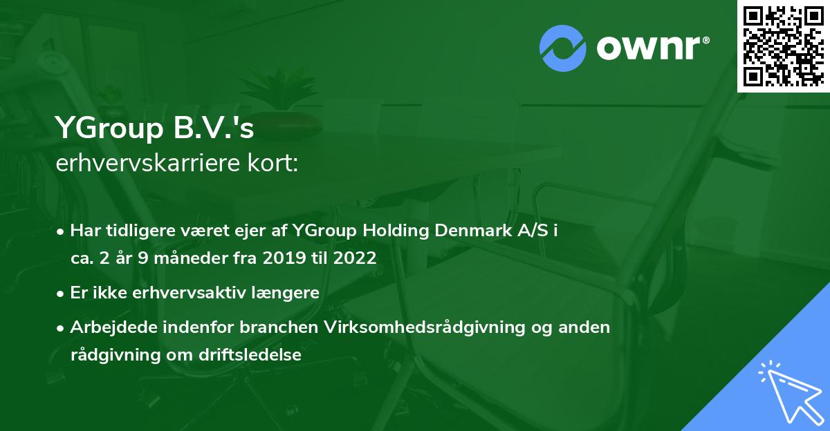 YGroup B.V.'s erhvervskarriere kort