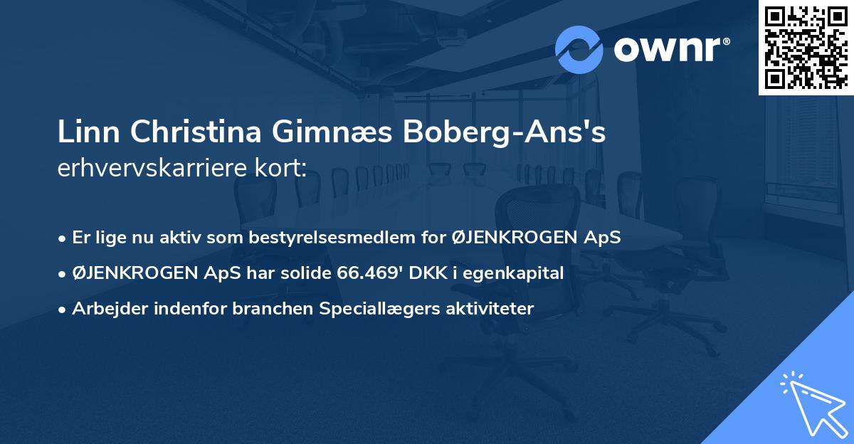 Linn Christina Gimnæs Boberg-Ans's erhvervskarriere kort