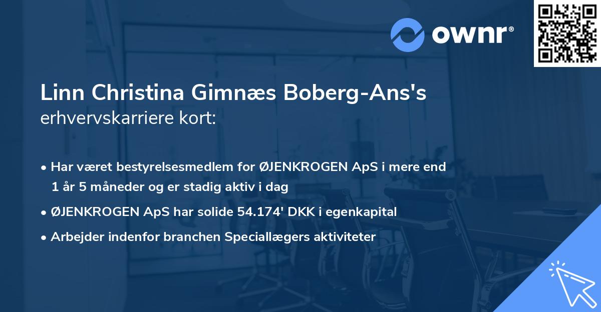 Linn Christina Gimnæs Boberg-Ans's erhvervskarriere kort