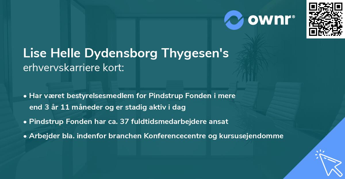 Lise Helle Dydensborg Thygesen's erhvervskarriere kort