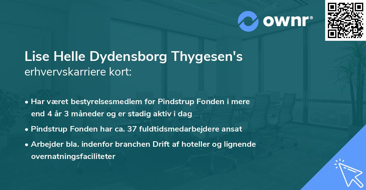 Lise Helle Dydensborg Thygesen's erhvervskarriere kort