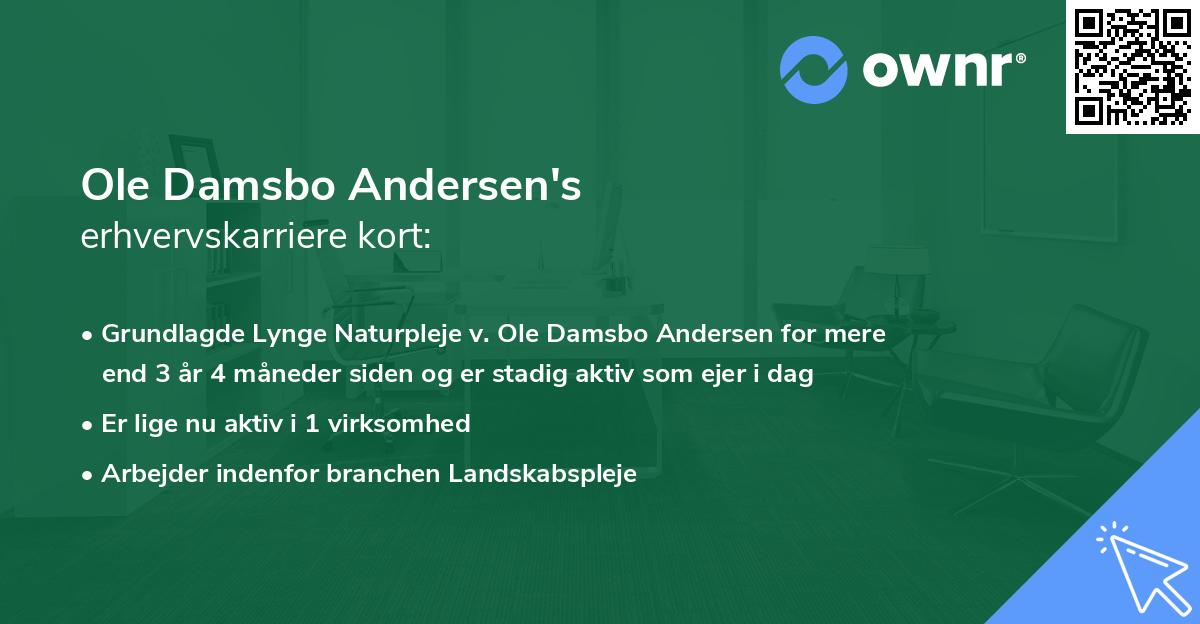 Ole Damsbo Andersen's erhvervskarriere kort