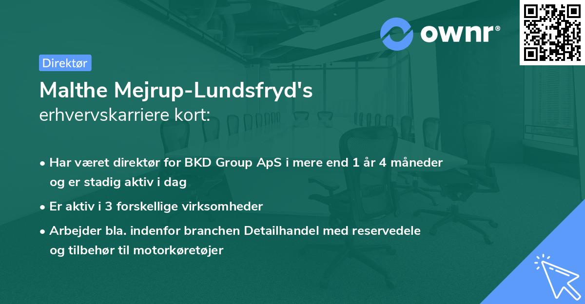 Malthe Mejrup-Lundsfryd's erhvervskarriere kort