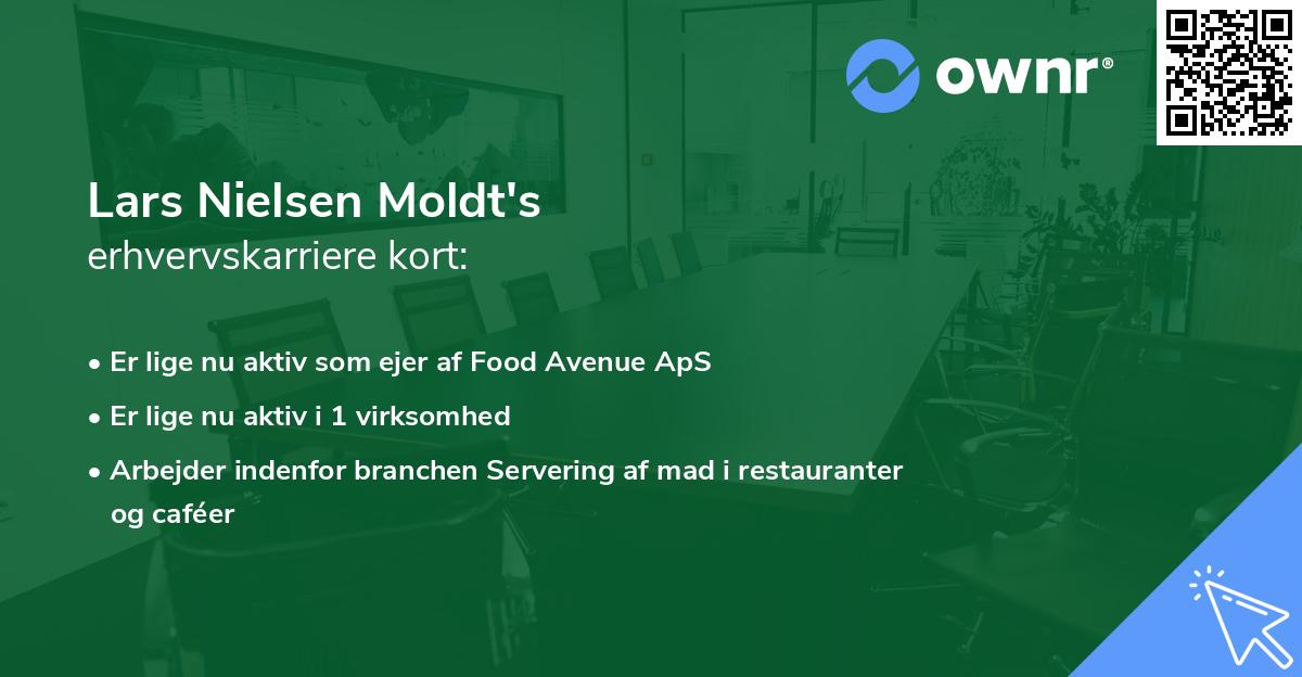 Lars Nielsen Moldt's erhvervskarriere kort
