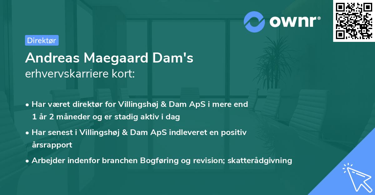 Andreas Maegaard Dam's erhvervskarriere kort