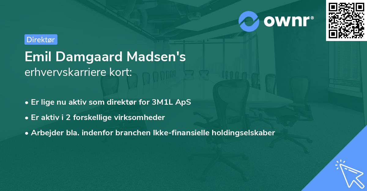 Emil Damgaard Madsen's erhvervskarriere kort