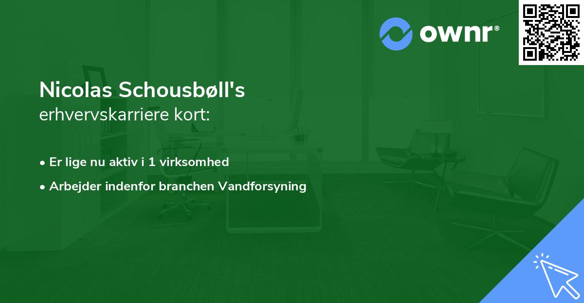 Nicolas Schousbøll's erhvervskarriere kort