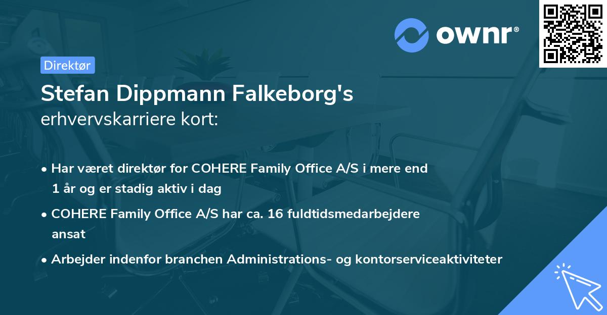 Stefan Dippmann Falkeborg's erhvervskarriere kort