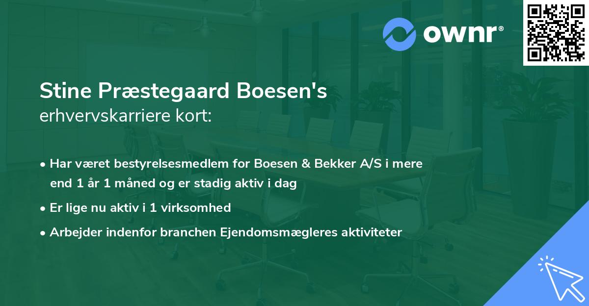 Stine Præstegaard Boesen's erhvervskarriere kort