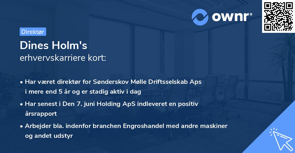Dines Holm's erhvervskarriere kort