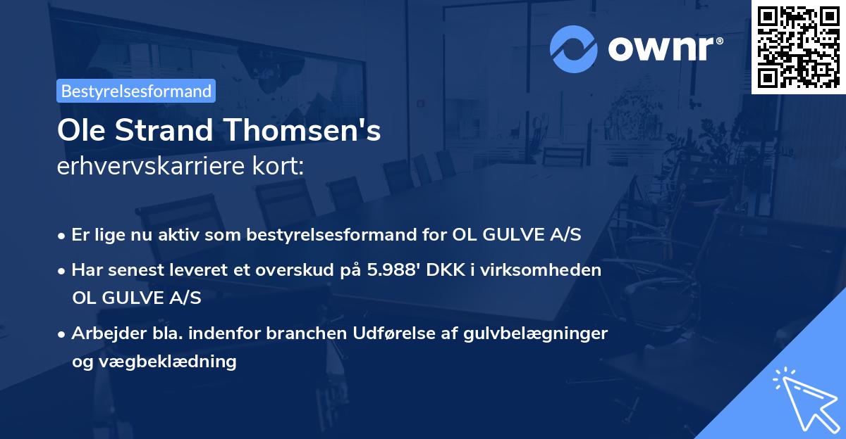 Ole Strand Thomsen's erhvervskarriere kort