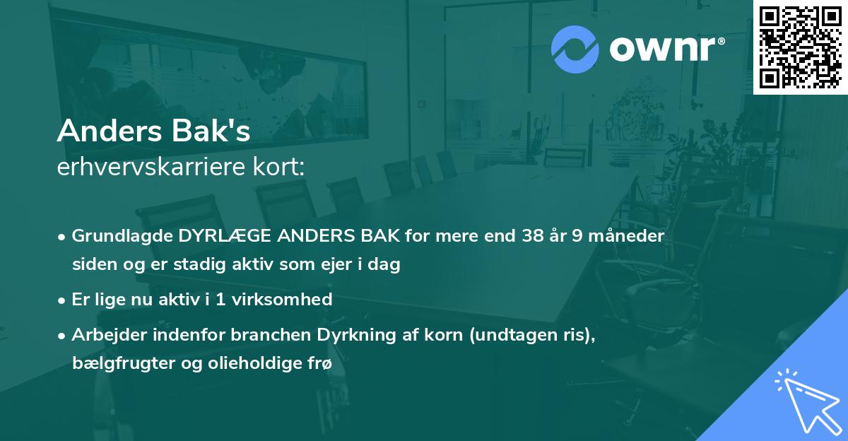 Anders Bak's erhvervskarriere kort
