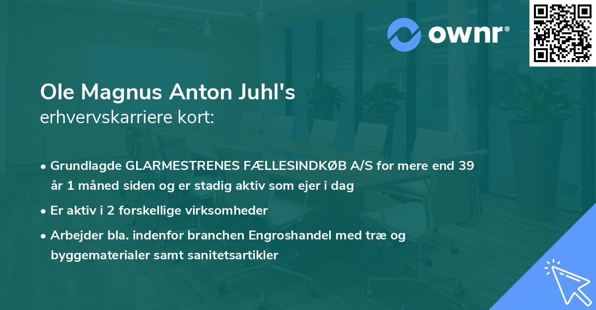 Ole Magnus Anton Juhl's erhvervskarriere kort